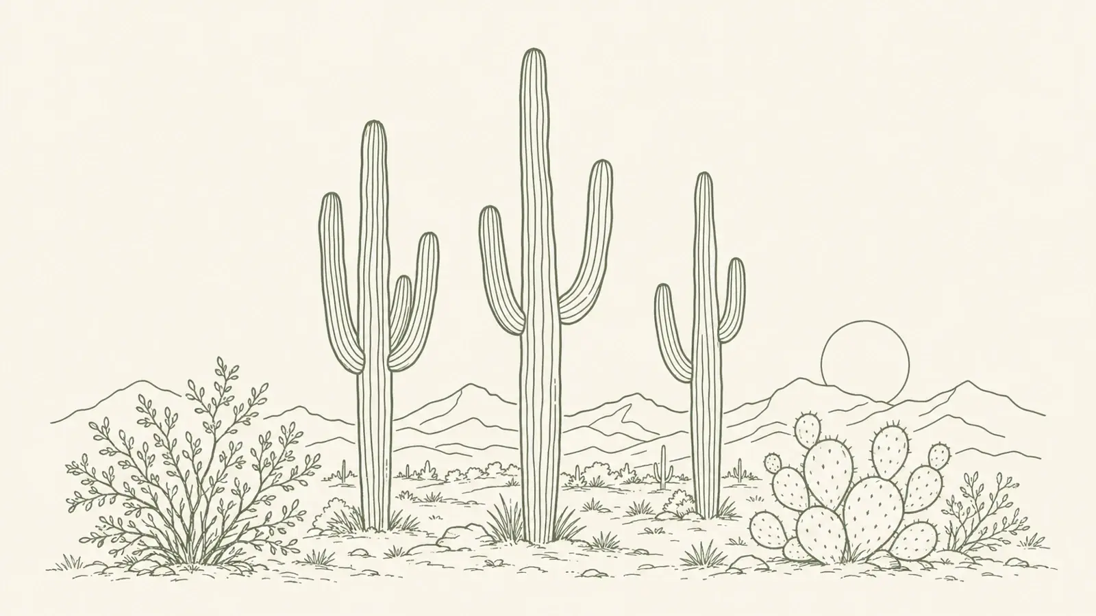Line illustration of saguaros, desert plants, and Arizona mountains