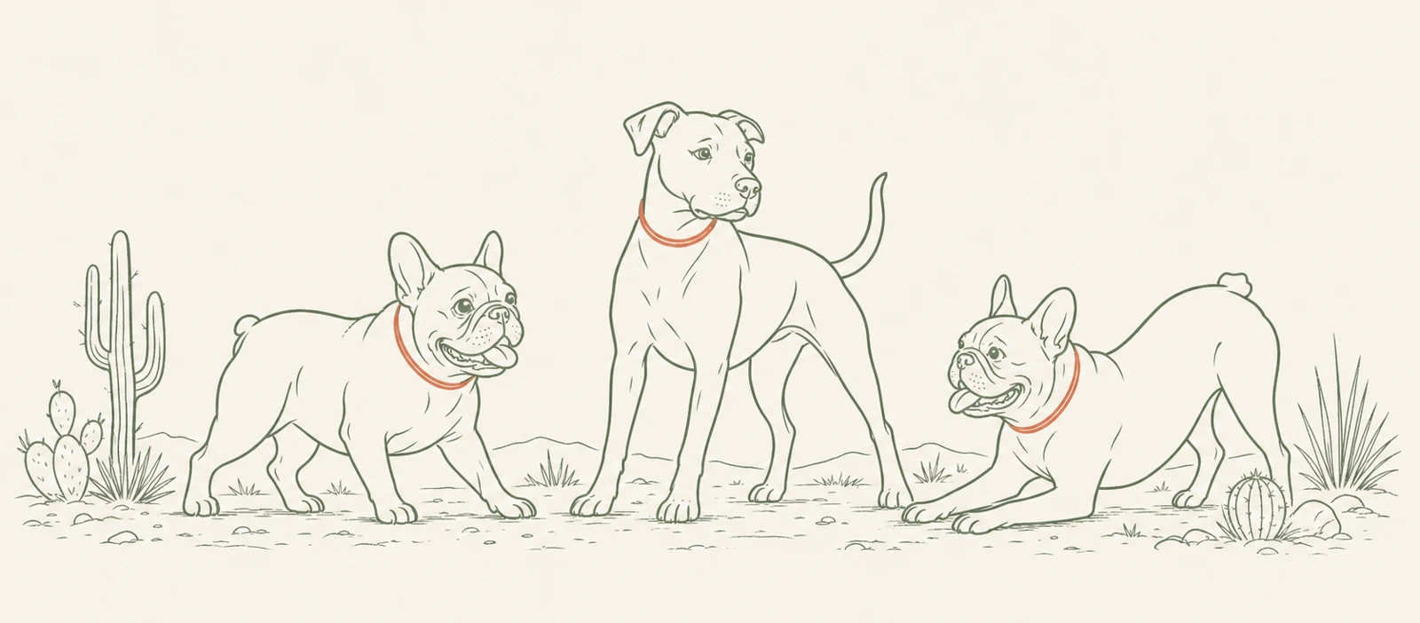 Illustration of three dogs in an Arizona desert landscape, not a specific park