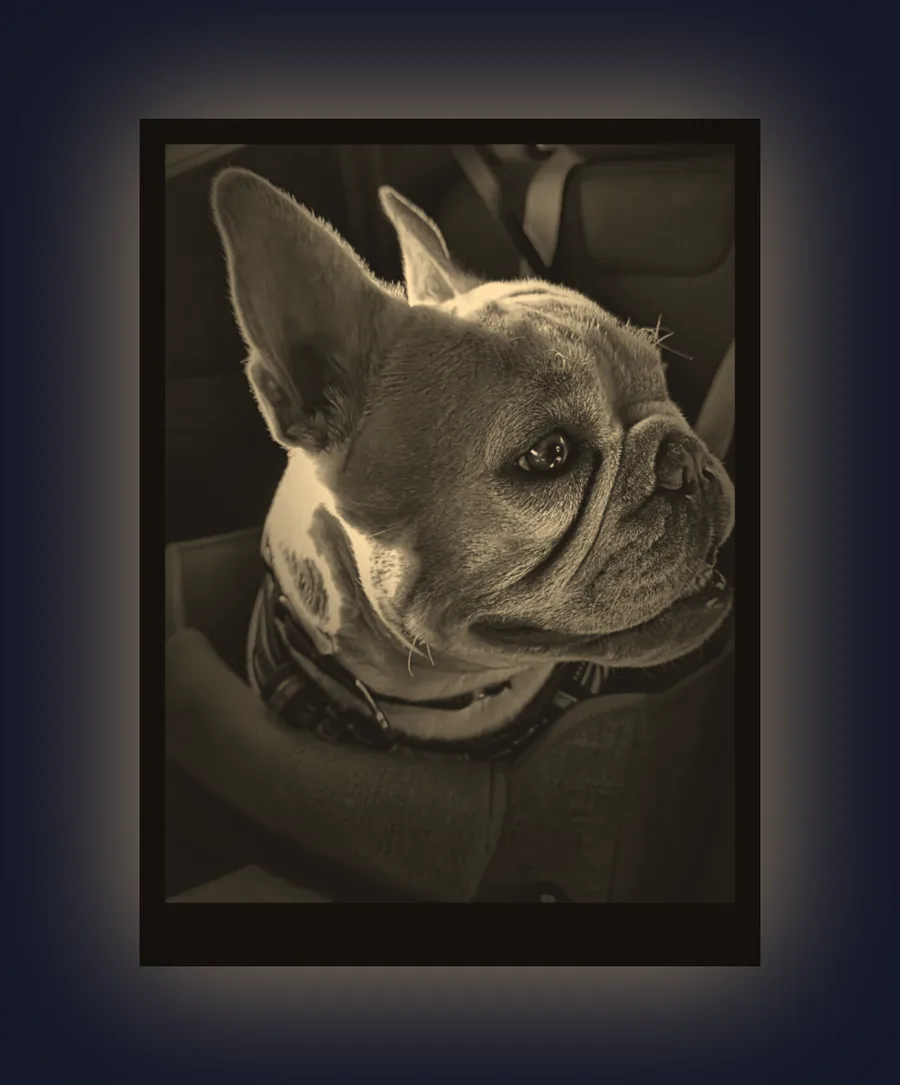 Preview of a lithophane of Doug lit from behind: a warm, glowing portrait inside a darker frame.