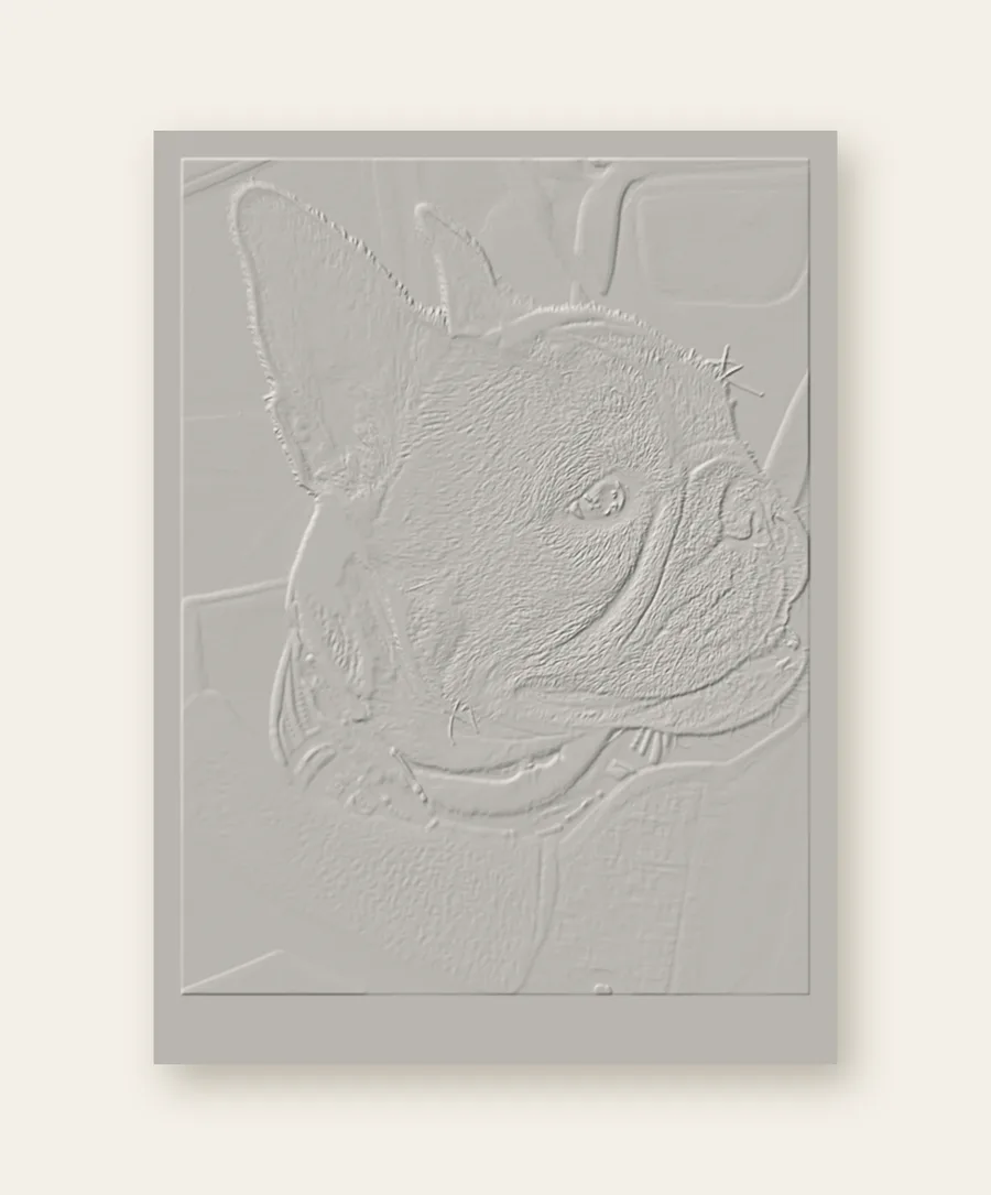 Preview of the same lithophane in daylight: a white panel with Doug’s face raised in fine relief.